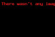 Занятия в кружке «Зоосад»_1